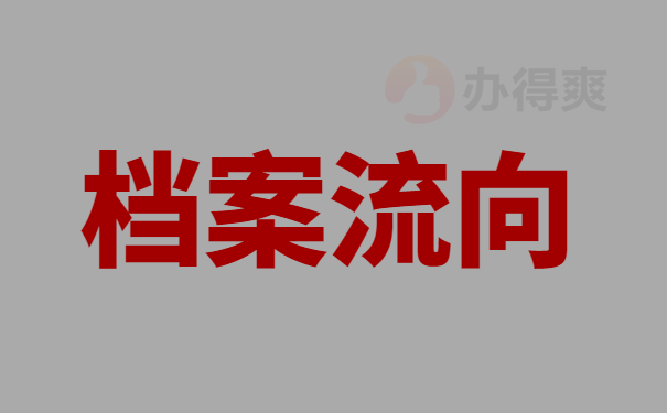 档案流向