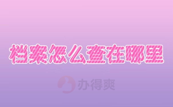 档案查询