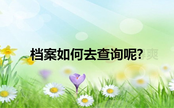 档案如何去查询呢？