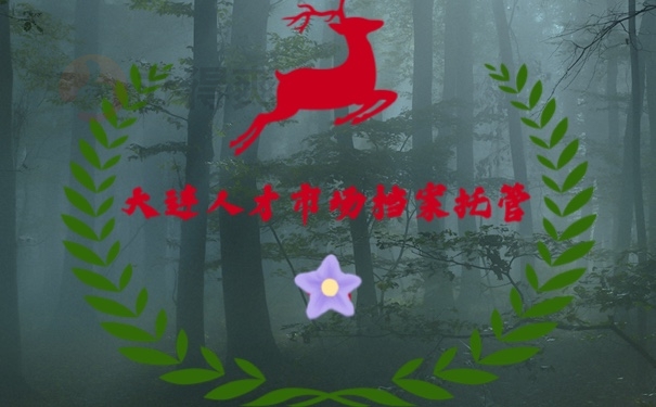 档案