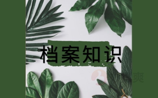 档案