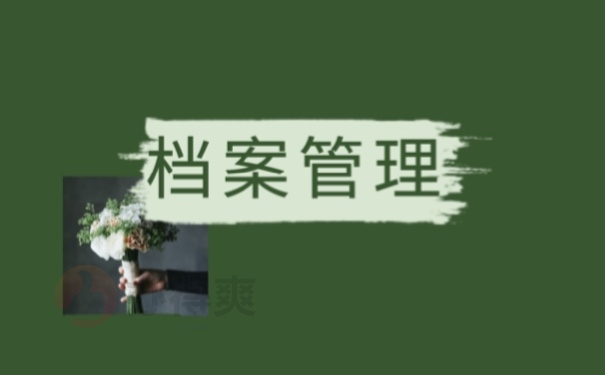 档案