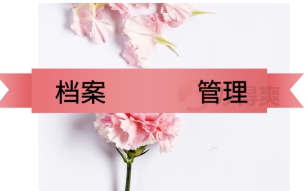 档案