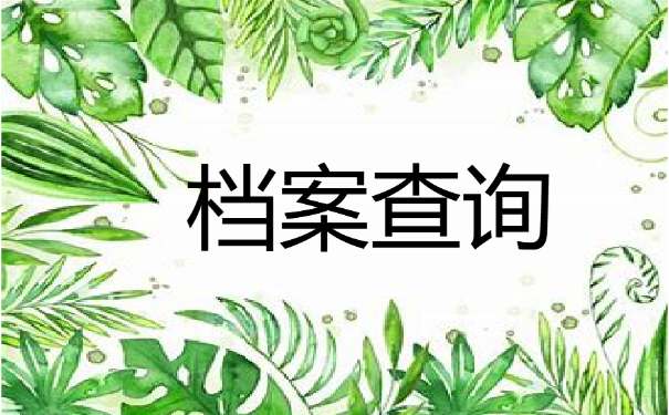 档案查询