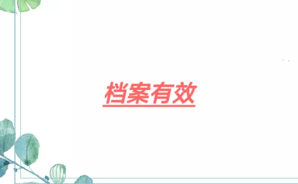 档案有效
