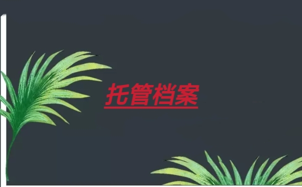 托管档案