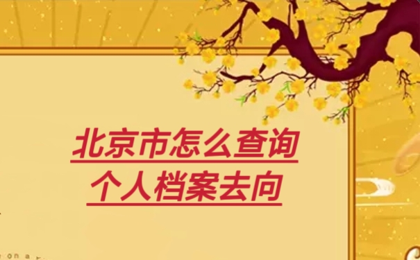 北京市怎么查询个人档案去向