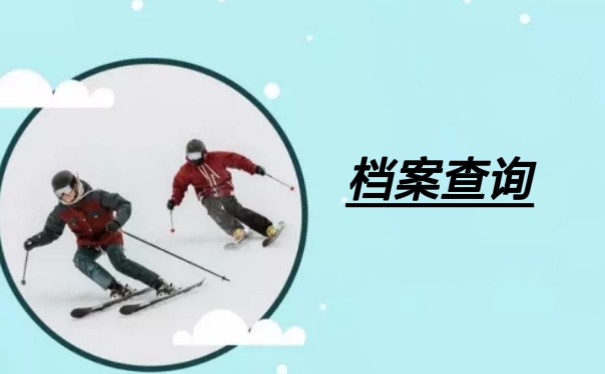 档案查询