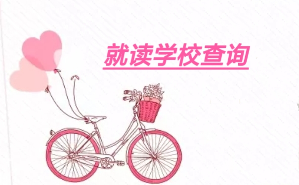 就读学校查询