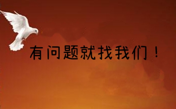 档案查询