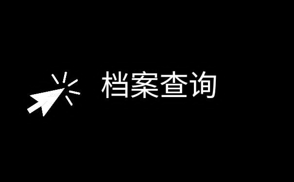 查询嘉定区个人档案？