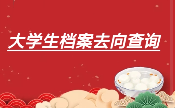 大学生档案去向查询
