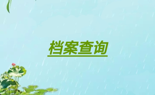 档案查询
