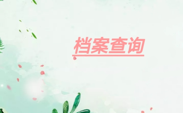档案查询