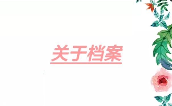 关于档案