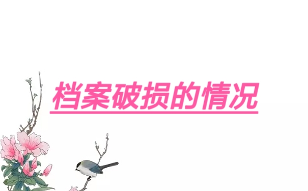 档案破损的情况