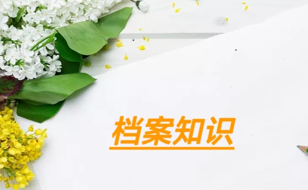 档案知识