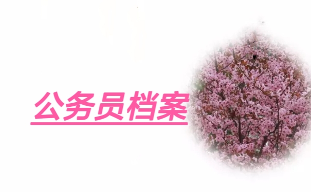 公务员档案