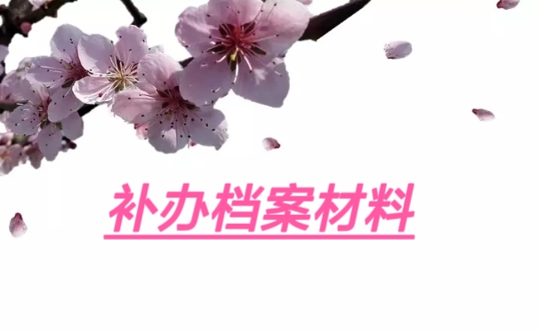 补办档案材料