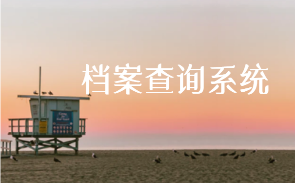 档案查询系统