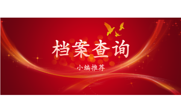 档案查询