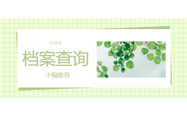 档案查询