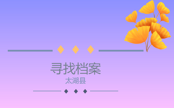 档案查询