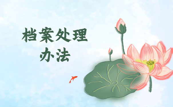 档案处理办法