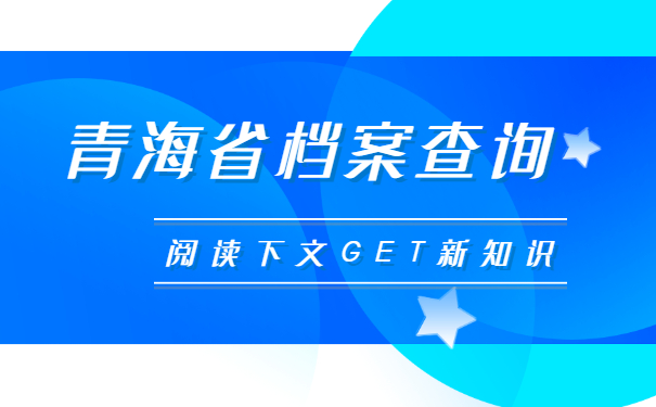 档案查询
