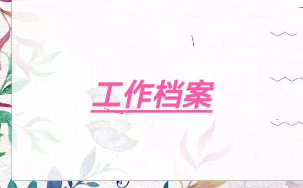 工作档案