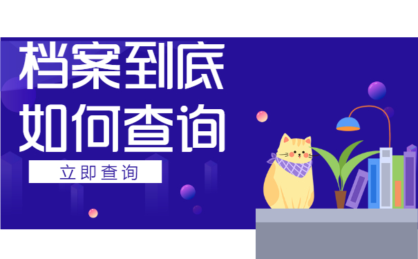 档案查询