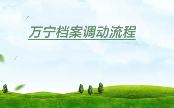 万宁档案调动流程