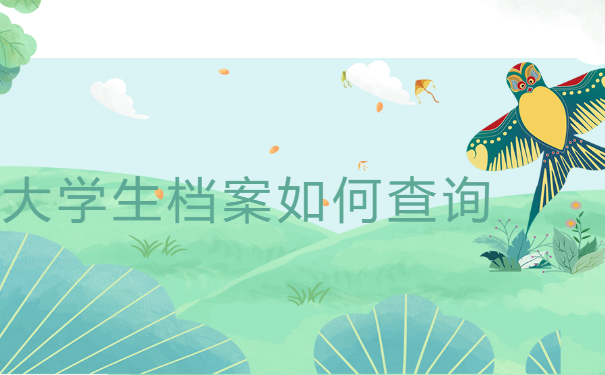 档案查询