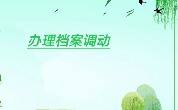 办理档案调动