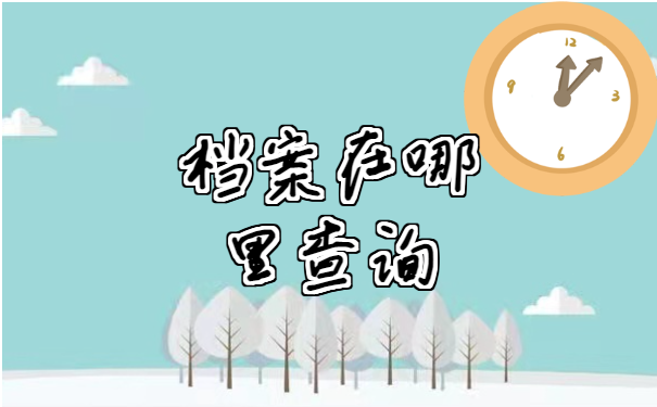 档案查询