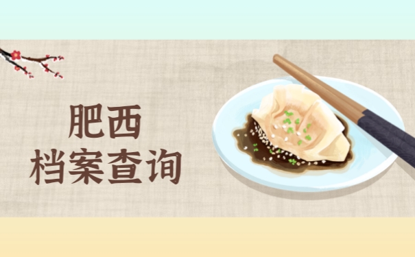 肥西档案查询