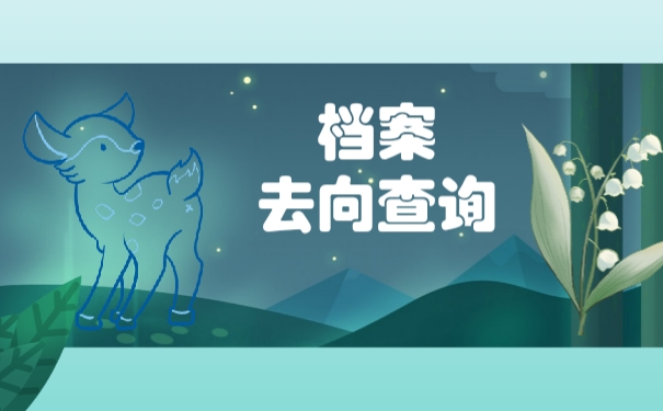 档案查询