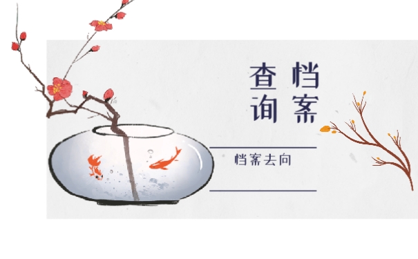 查询档案