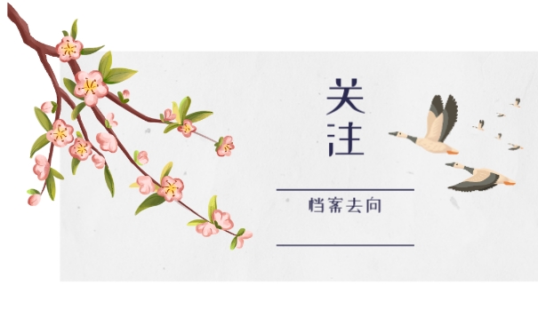 关注档案去向