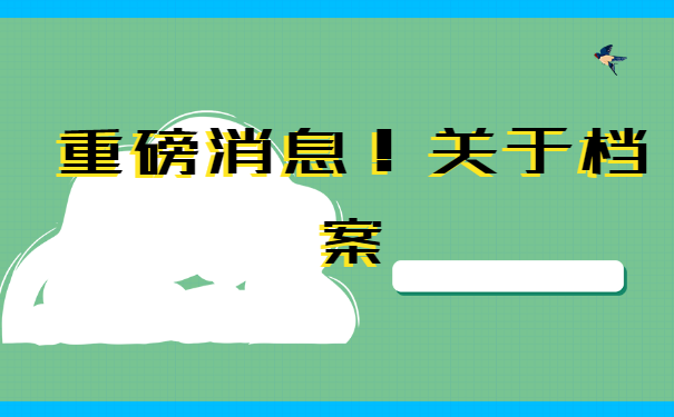 对于个人档案的查询问题，你了解多少？