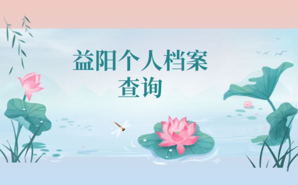 益阳个人档案查询