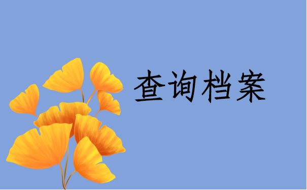 档案查询