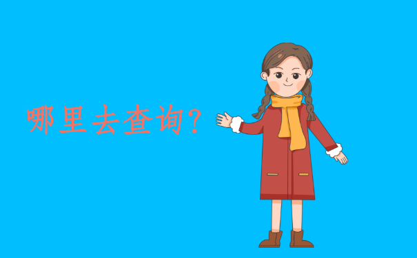档案查询