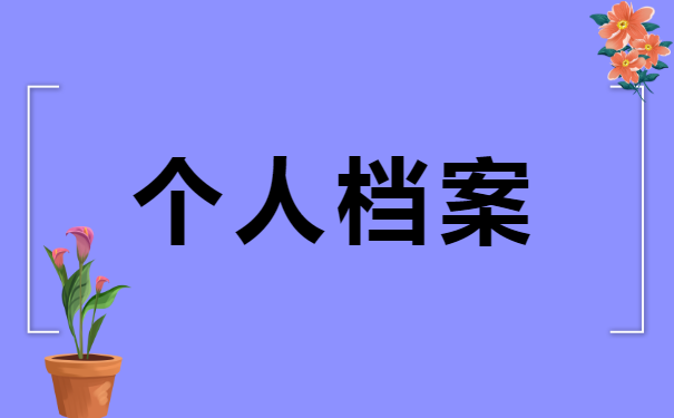 如何查询全国的个人档案？