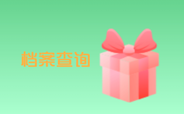 档案查询