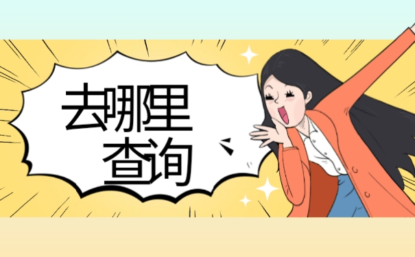 去哪里查询
