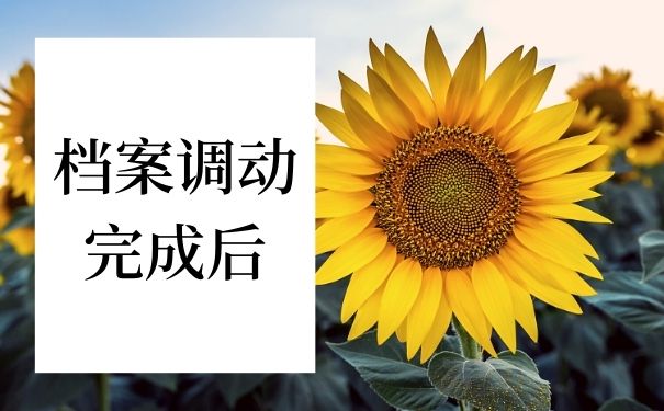 档案调动完成后