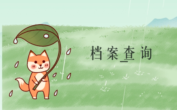档案查询