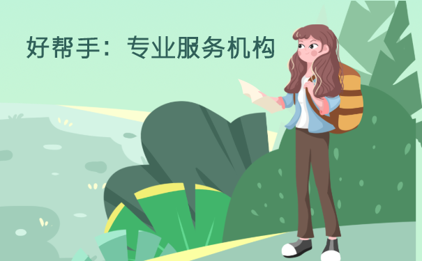 好帮手：专业服务机构