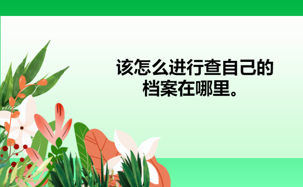 四川个人档案存放地查询？该怎么进行查。